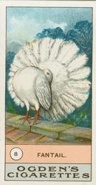 1904 Ogden's Fowls, Pigeons & Dogs #8 Fantail Front