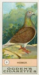 1904 Ogden's Fowls, Pigeons & Dogs #9 Homer Front