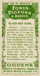 1904 Ogden's Fowls, Pigeons & Dogs #11 Black-Red Game Back