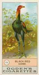 1904 Ogden's Fowls, Pigeons & Dogs #11 Black-Red Game Front