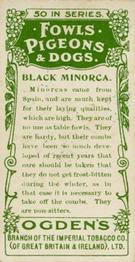 1904 Ogden's Fowls, Pigeons & Dogs #13 Black Minorca Back