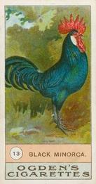 1904 Ogden's Fowls, Pigeons & Dogs #13 Black Minorca Front