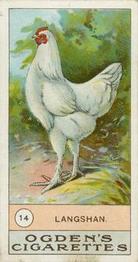 1904 Ogden's Fowls, Pigeons & Dogs #14 Langshan Front