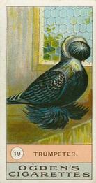1904 Ogden's Fowls, Pigeons & Dogs #19 Trumpeter Front