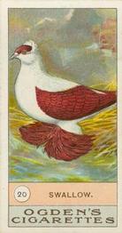 1904 Ogden's Fowls, Pigeons & Dogs #20 Swallow Front