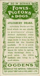 1904 Ogden's Fowls, Pigeons & Dogs #21 Aylesbury Drake Back