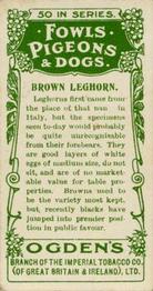 1904 Ogden's Fowls, Pigeons & Dogs #23 Brown Leghorn Back