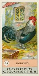 1904 Ogden's Fowls, Pigeons & Dogs #24 Dorking Front