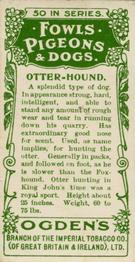1904 Ogden's Fowls, Pigeons & Dogs #29 Otterhound Back