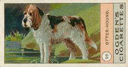 1904 Ogden's Fowls, Pigeons & Dogs #29 Otterhound Front