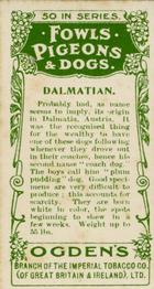 1904 Ogden's Fowls, Pigeons & Dogs #30 Dalmatian Back