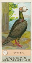 1904 Ogden's Fowls, Pigeons & Dogs #31 Carrier Front