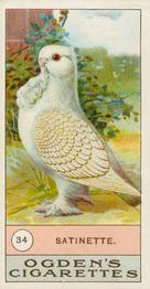 1904 Ogden's Fowls, Pigeons & Dogs #34 Satinette Front