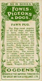 1904 Ogden's Fowls, Pigeons & Dogs #35 Fawn Pug Back
