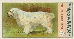 1904 Ogden's Fowls, Pigeons & Dogs #36 Clumber Spaniel Front