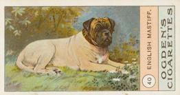 1904 Ogden's Fowls, Pigeons & Dogs #40 English Mastiff Front