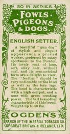 1904 Ogden's Fowls, Pigeons & Dogs #41 English Setter Back
