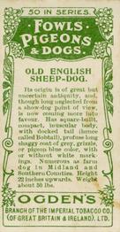 1904 Ogden's Fowls, Pigeons & Dogs #44 Old English Sheepdog Back