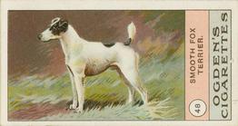 1904 Ogden's Fowls, Pigeons & Dogs #48 Smooth Fox Terrier Front