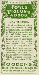 1904 Ogden's Fowls, Pigeons & Dogs #49 Dachshund Back