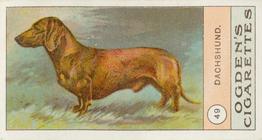 1904 Ogden's Fowls, Pigeons & Dogs #49 Dachshund Front
