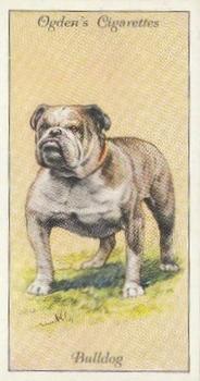1936 Ogden's Dogs #5 Bulldog Front