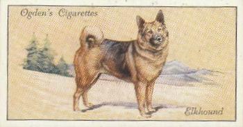 1936 Ogden's Dogs #11 Elkhound Front