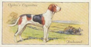 1936 Ogden's Dogs #12 Foxhound Front