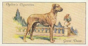 1936 Ogden's Dogs #13 Great Dane Front