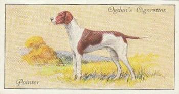 1936 Ogden's Dogs #18 Pointer Front