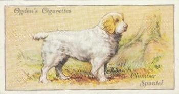 1936 Ogden's Dogs #30 Clumber Spaniel Front
