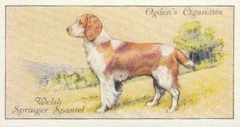 1936 Ogden's Dogs #34 Welsh Springer Spaniel Front