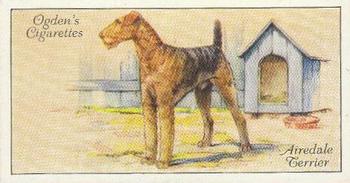 1936 Ogden's Dogs #35 Airedale Terrier Front
