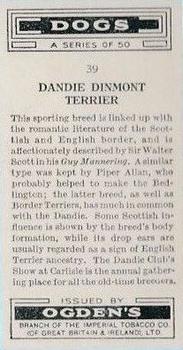 1936 Ogden's Dogs #39 Dandie Dinmont Back