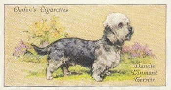 1936 Ogden's Dogs #39 Dandie Dinmont Front