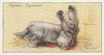 1936 Ogden's Dogs #46 Skye Terrier Front