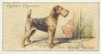 1936 Ogden's Dogs #47 Welsh Terrier Front