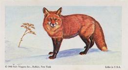 1968 Federal Sweets Wild Animals #7 Red Fox Front