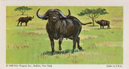1968 Federal Sweets Wild Animals #11 Cape Buffalo Front