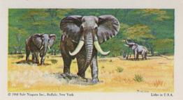 1968 Federal Sweets Wild Animals #16 African Elephant Front