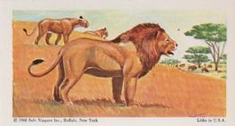 1968 Federal Sweets Wild Animals #20 African Lion Front