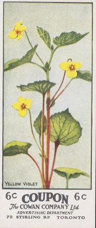 1924 Cowan's Wild Flowers of Canada (V20) #6 Yellow Violet Front