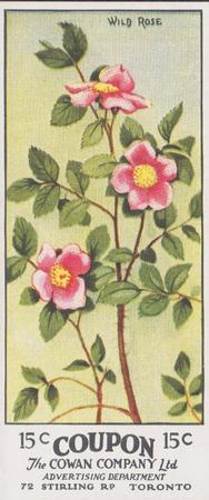 1924 Cowan's Wild Flowers of Canada (V20) #15 Wild Rose Front