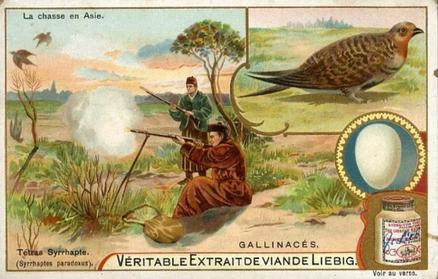 1902 Liebig Game Birds (French Text)(F704, S703) #NNO Pallas's Sandgrouse Front