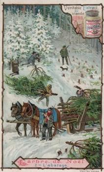 1901 Liebig (The Chrismas Tree II) (French text) (F676, S656) #2 Christmas Tree Front
