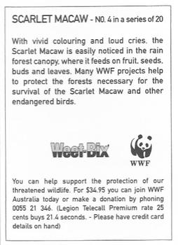 1995 Weet-Bix Threatened Wildlife #4 Scarlet Macaw Back
