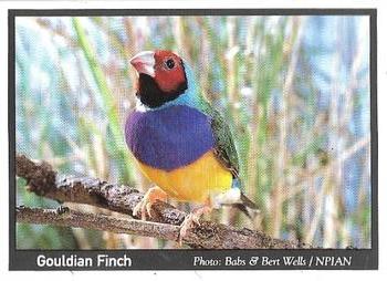 1995 Weet-Bix Threatened Wildlife #7 Gouldian Finch Front