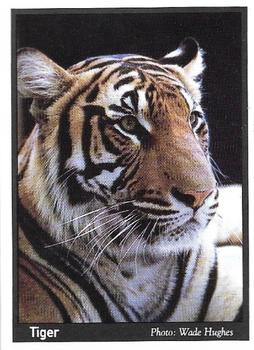 1995 Weet-Bix Threatened Wildlife #9 Tiger Front