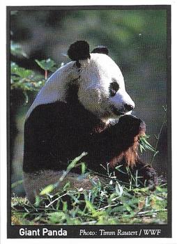 1995 Weet-Bix Threatened Wildlife #12 Giant Panda Front