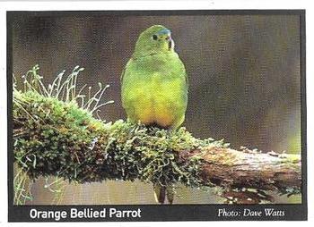 1995 Weet-Bix Threatened Wildlife #15 Orange Bellied Parrot Front